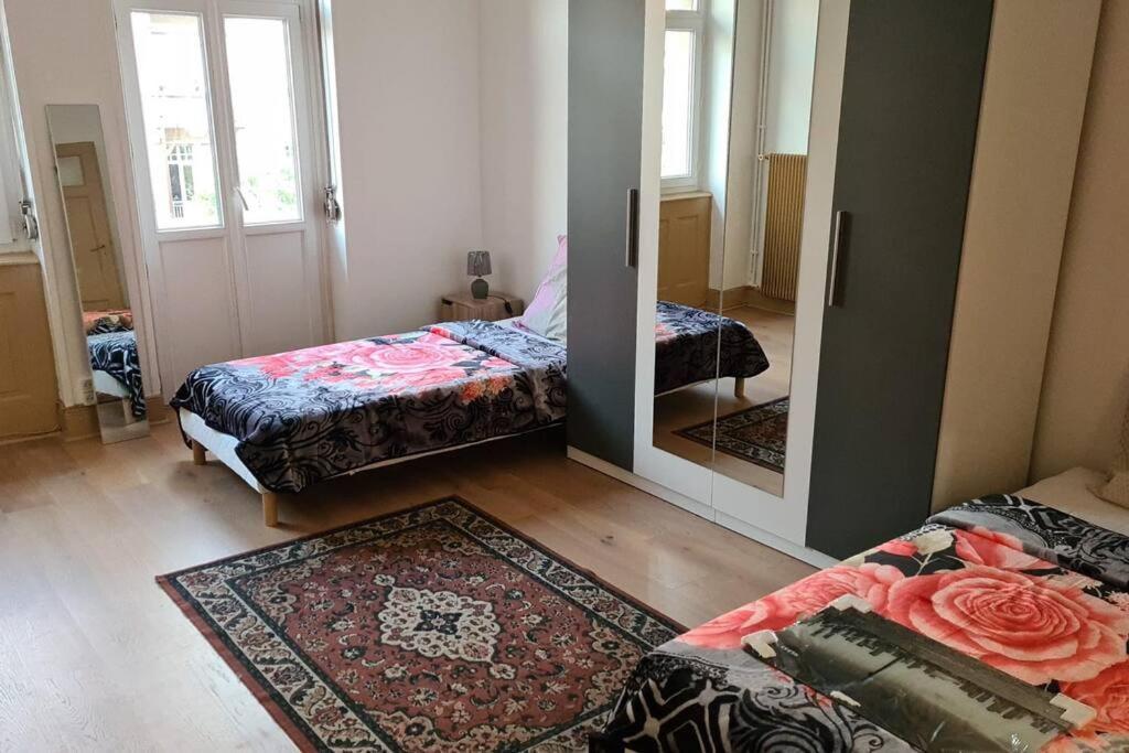 Grand 4P Strasbourg Orangerie 7 Personnes Proche D Allemagne ภายนอก รูปภาพ